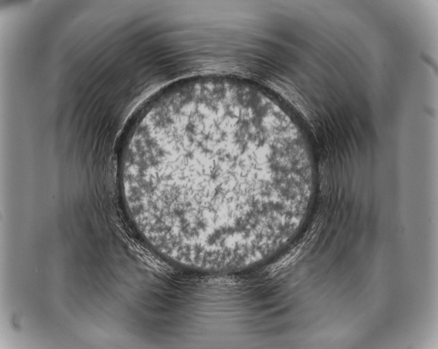 X0000097811021200804110945