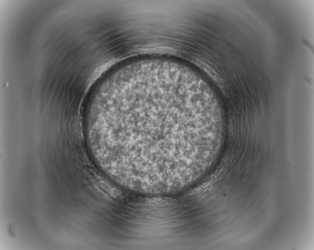 X0000097811022200804110945