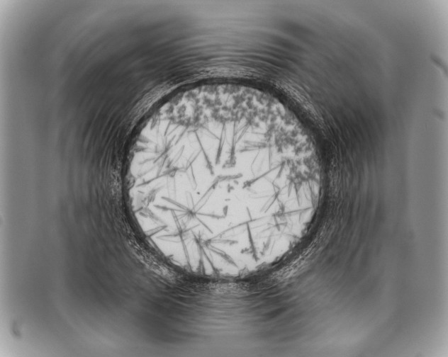 X0000097811025200804110945