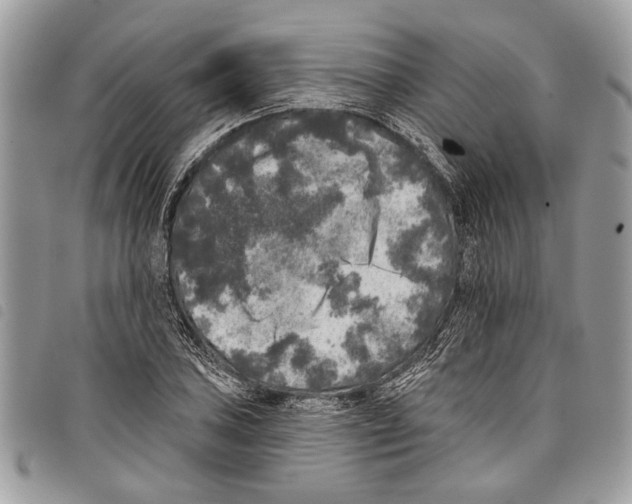 X0000097811027200804110945