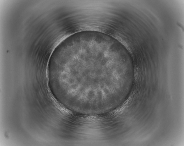 X0000097811028200804110945