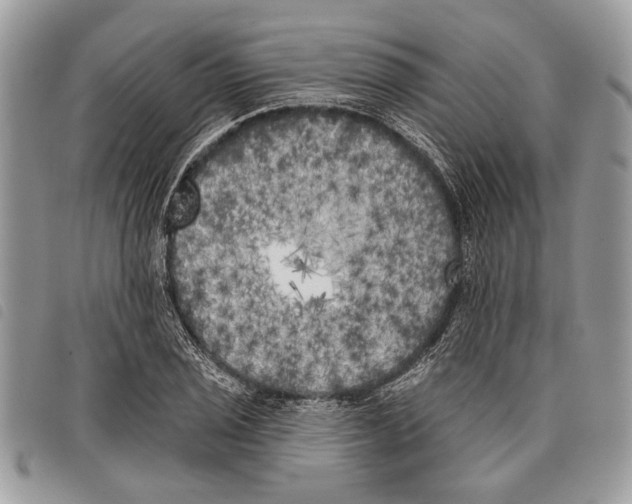 X0000097811029200804110945