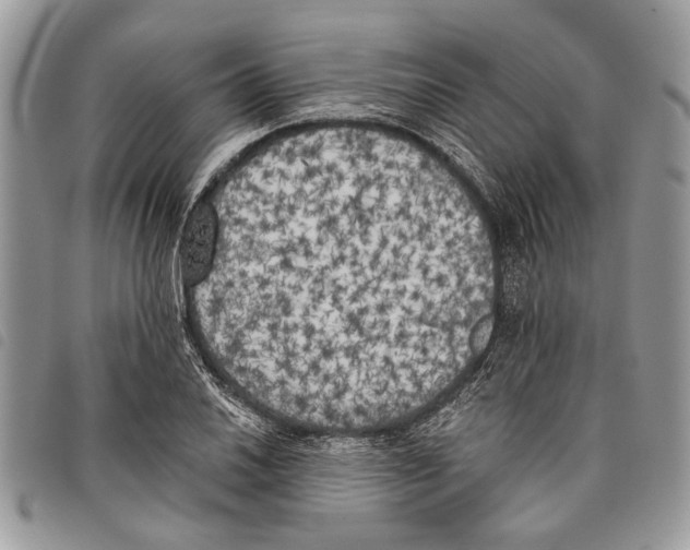 X0000097811030200804110945