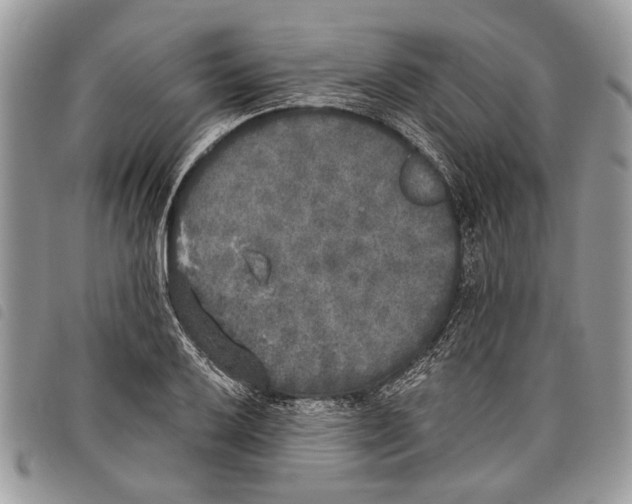 X0000097811032200804110945