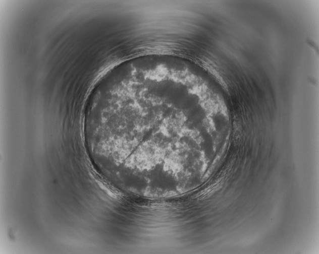 X0000097811035200804110945