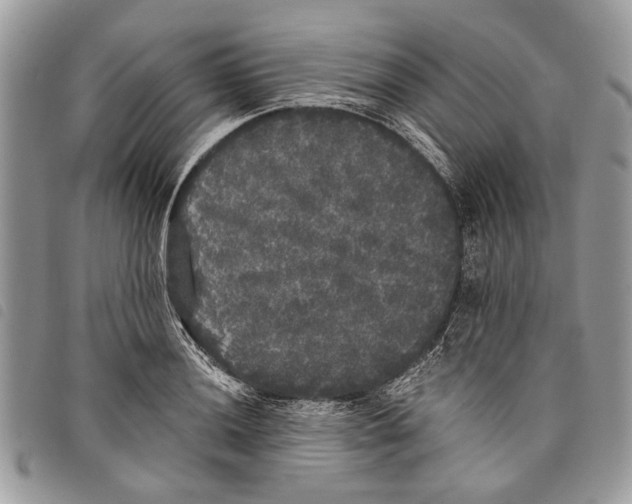 X0000097811036200804110945