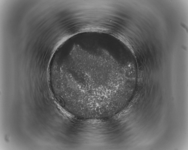 X0000097811037200804110945