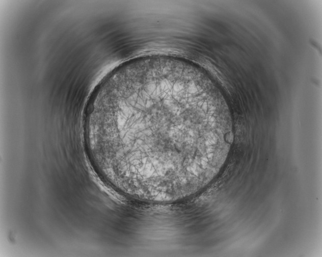 X0000097811038200804110945