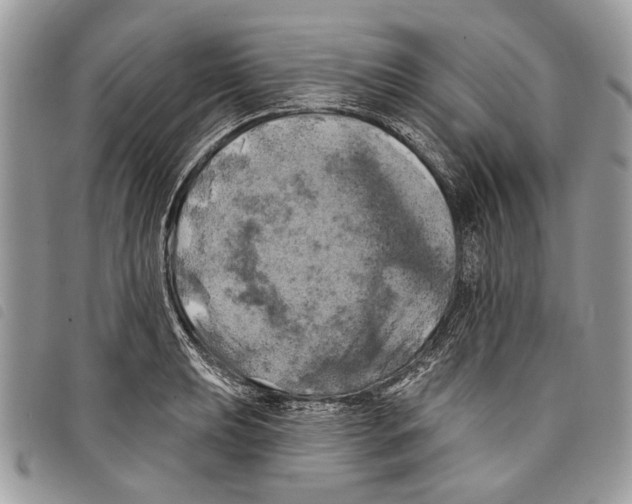 X0000097811039200804110945