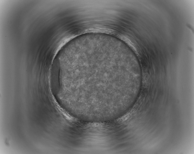 X0000097811040200804110945