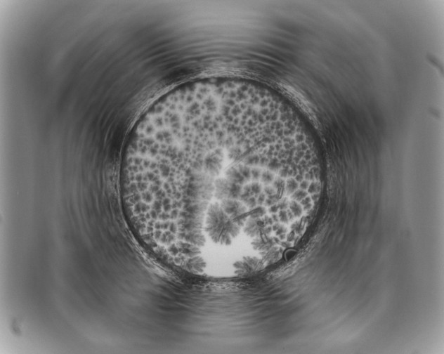 X0000097811041200804110945