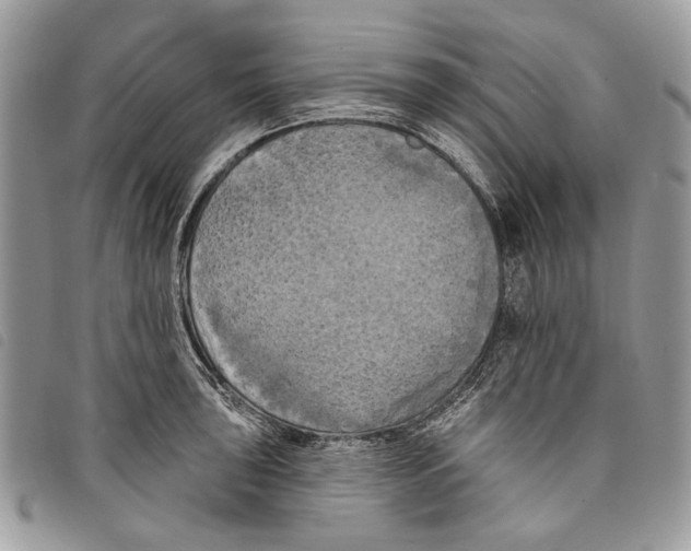 X0000097811043200804110945