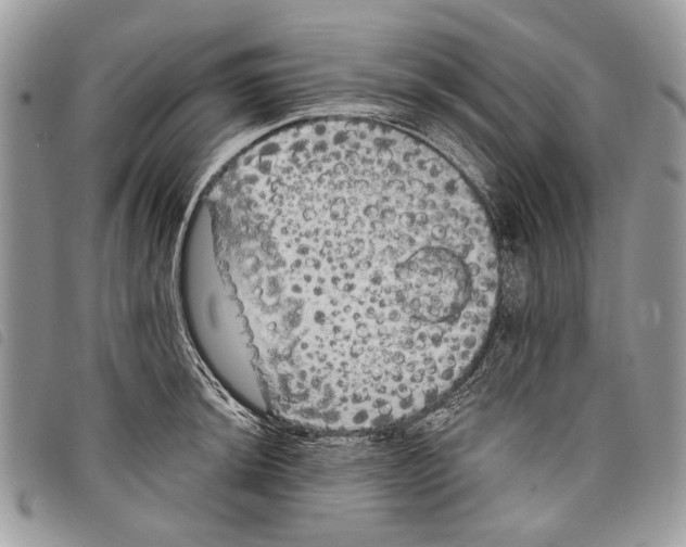 X0000097811044200804110945