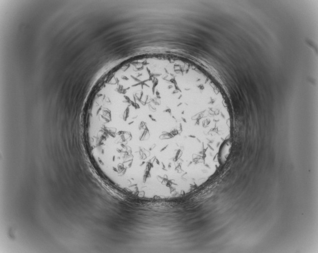 X0000097811045200804110945