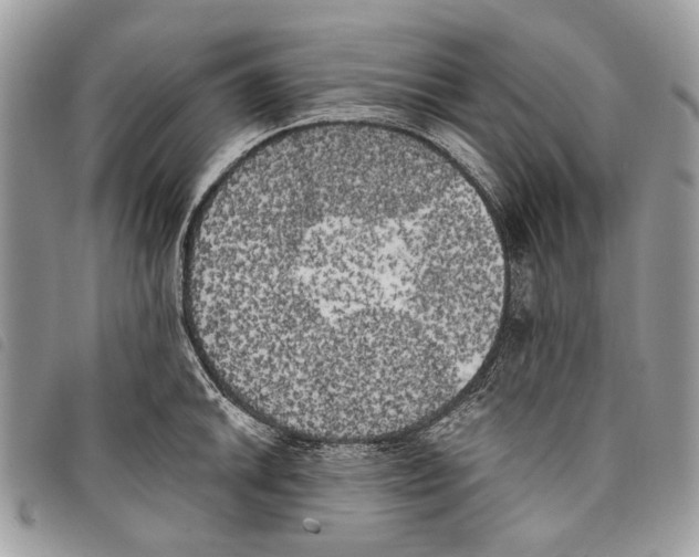 X0000097811046200804110945