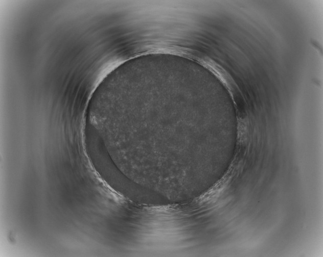 X0000097811048200804110945