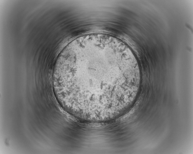 X0000097811049200804110945