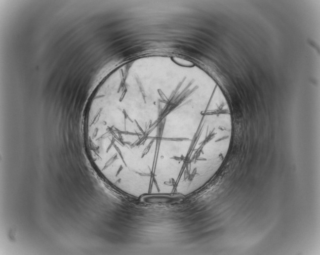 X0000097811050200804110945