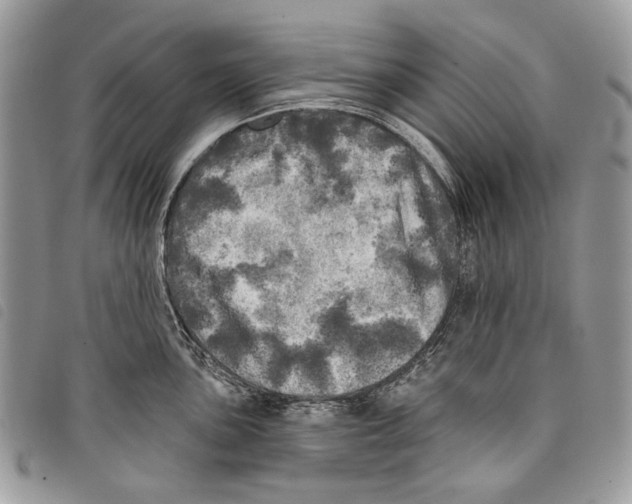 X0000097811051200804110945