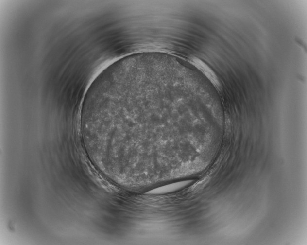 X0000097811052200804110945