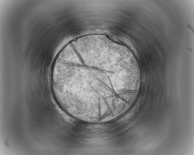 X0000097811054200804110945