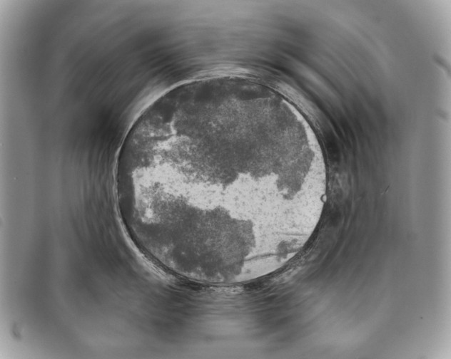 X0000097811055200804110945