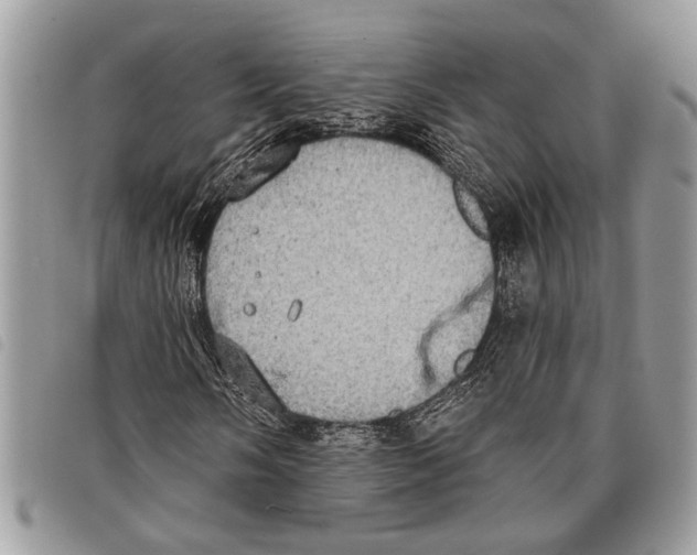 X0000097811058200804110944