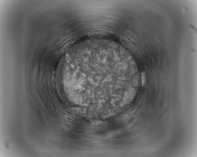 X0000097811059200804110944