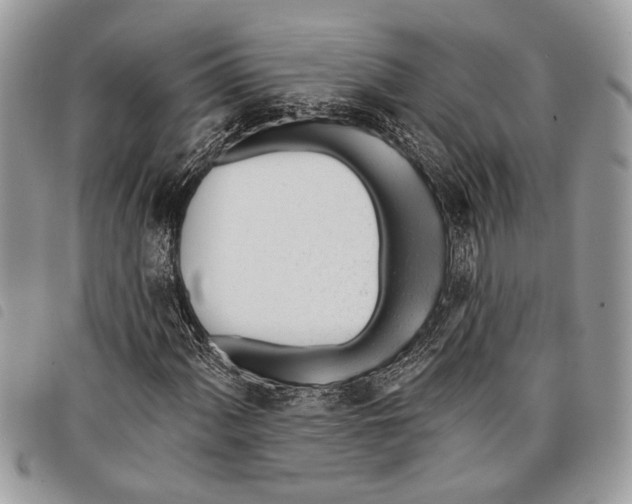 X0000097811060200804110944