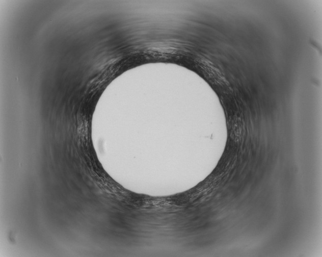 X0000097811061200804110944