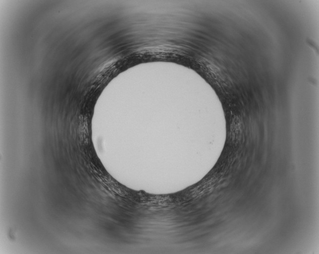 X0000097811062200804110944