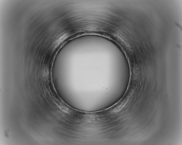 X0000097811065200804110944