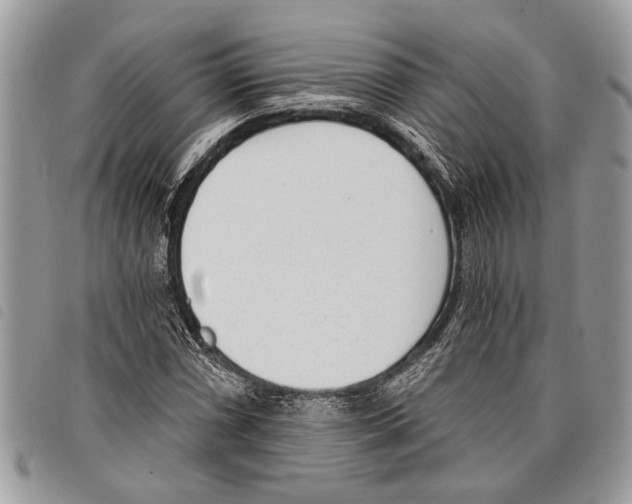 X0000097811066200804110944