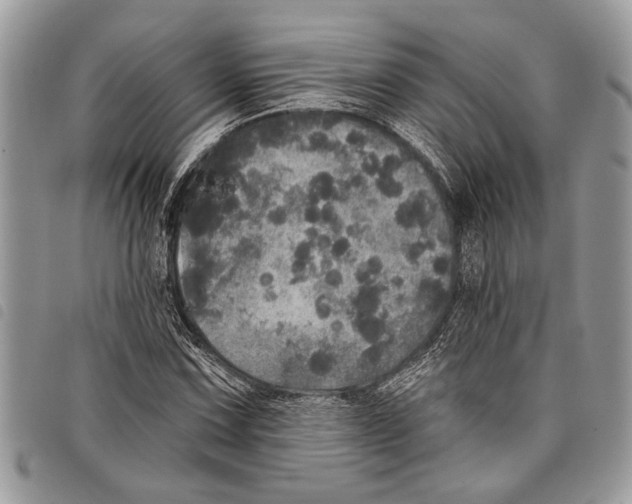 X0000097811067200804110944