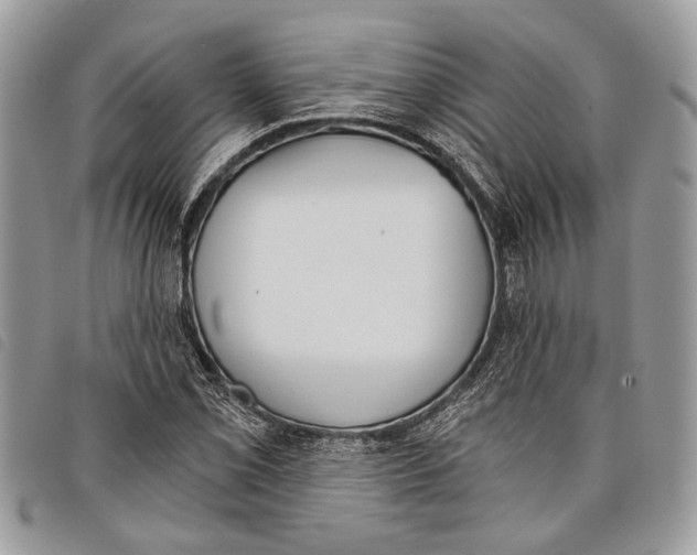 X0000097811069200804110944