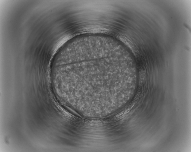 X0000097811071200804110944