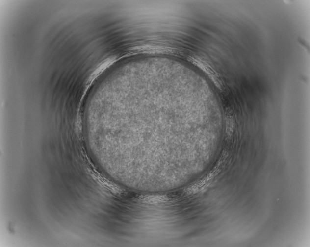 X0000097811074200804110944