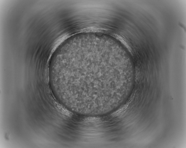 X0000097811075200804110944