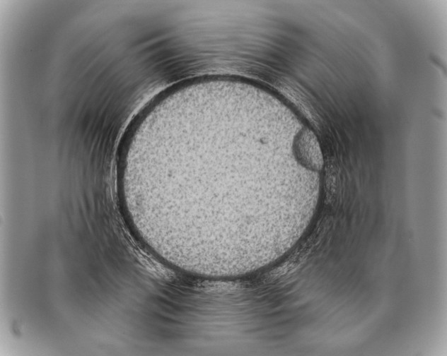 X0000097811076200804110944