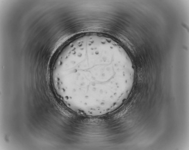 X0000097811077200804110944