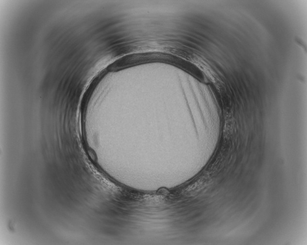 X0000097811080200804110944