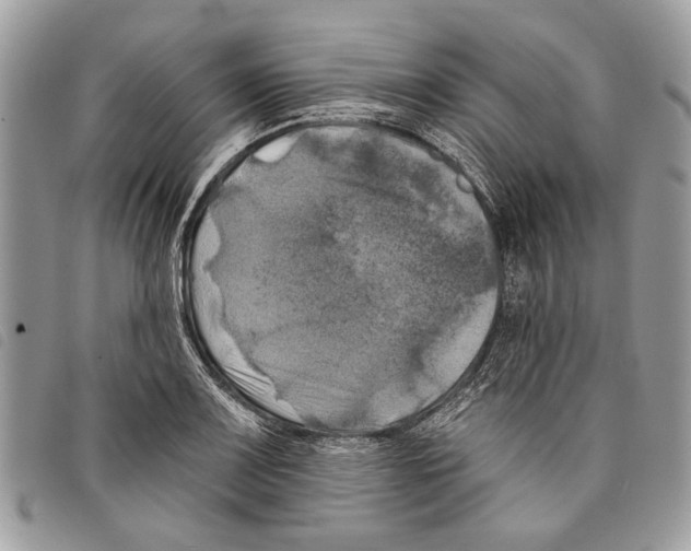 X0000097811083200804110944