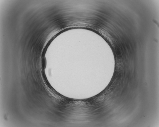 X0000097811085200804110944