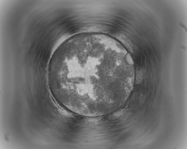 X0000097811086200804110944