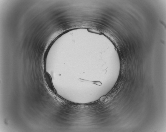 X0000097811088200804110944