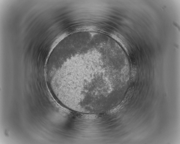 X0000097811090200804110944