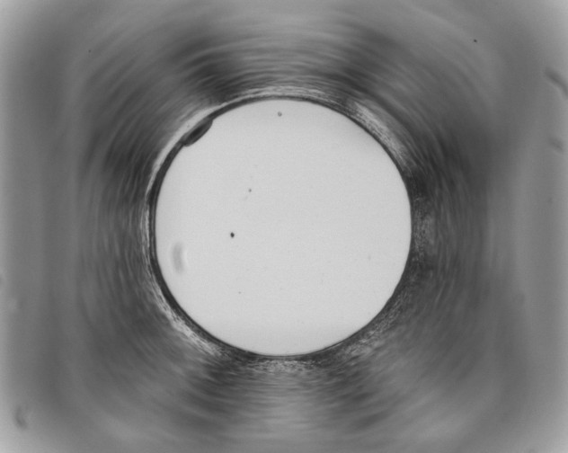 X0000097811092200804110944