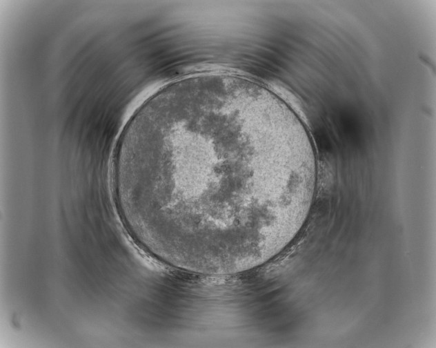 X0000097811098200804110944