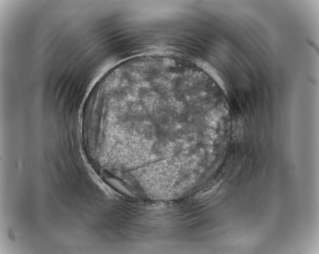 X0000097811099200804110944