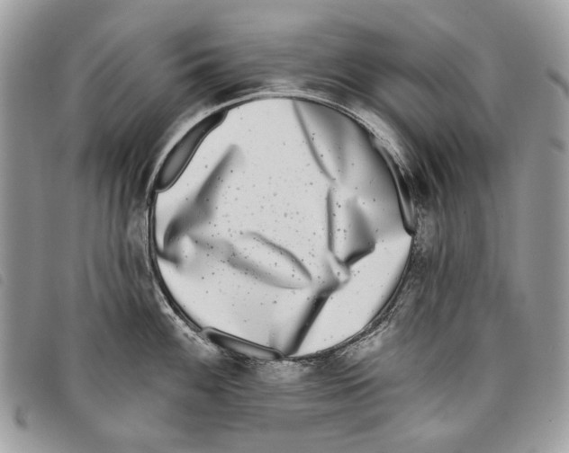 X0000097811100200804110944